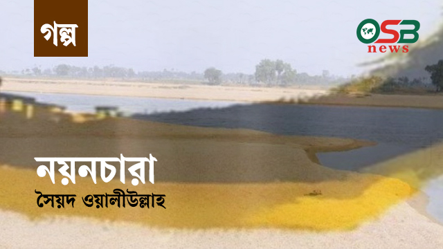 নয়নচারা