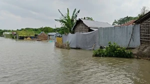পদ্মা নদীতে বন্যা পরিস্থিতির উন্নতি