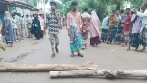 সারের দাবিতে সড়ক অবরোধ, কৃষি কর্মকর্তা অবরুদ্ধ