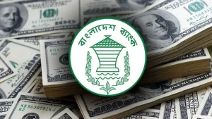 সেপ্টেম্বরের ২১ দিনে রেমিট্যান্স ২৫ হাজার ৩৭৪ কোটি টাকা